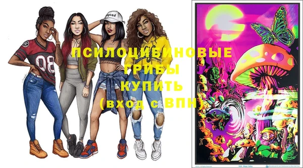 дмт Алексин