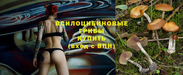 соль курить ск Алексеевка