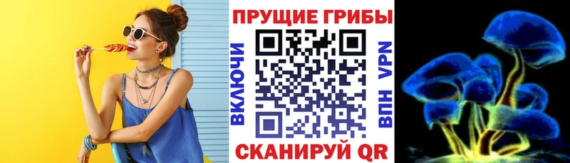 Купить  Ивантеевка  Псилоцибиновые грибы мицелий 