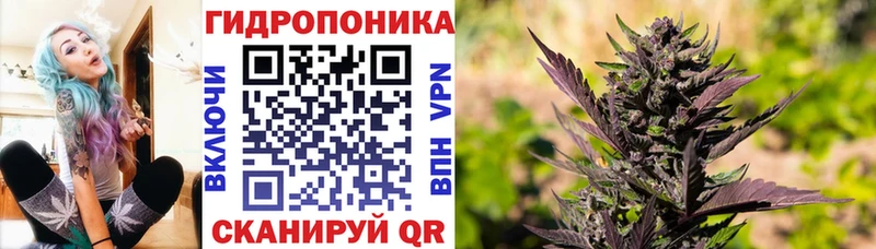 МАРИХУАНА план  Купить закладки  Ивантеевка 